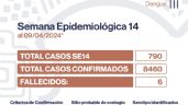Casi 800 nuevos contagios de dengue