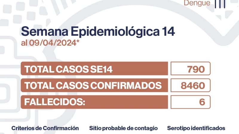 Casi 800 nuevos contagios de dengue