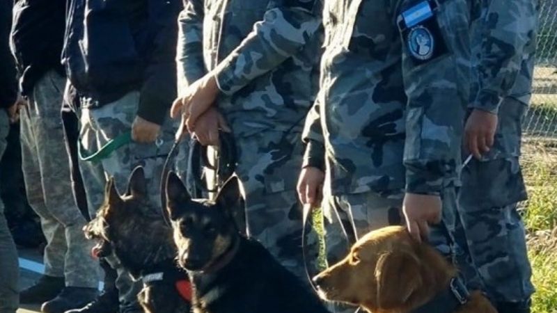 Continúa la búsqueda del joven Melian