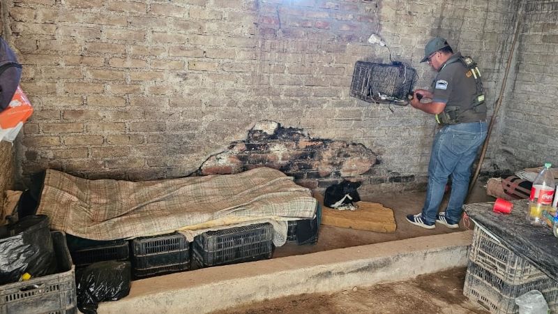 Explotación laboral: allanaron una finca y asistieron a 17 personas