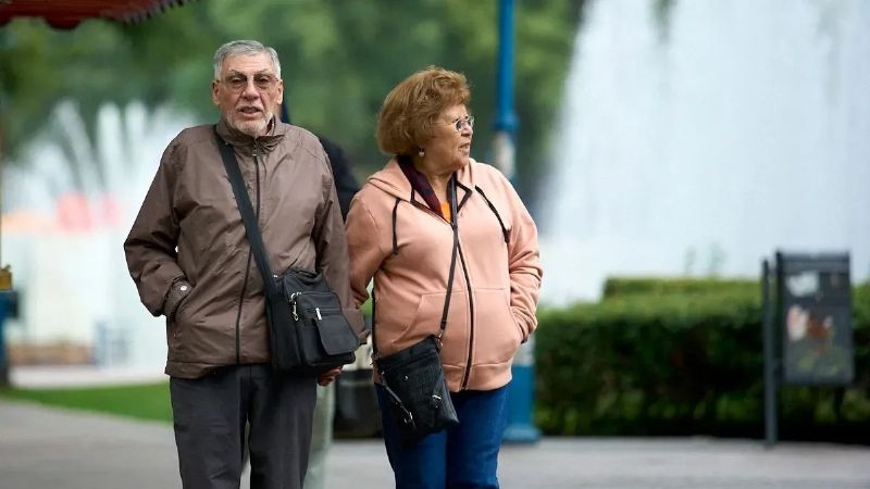 Jubilados y pensionados: cómo designar a un apoderado en ANSES