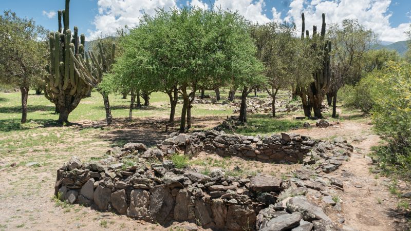 Convocatoria para proyecto arquitectónico de sitios arqueológicos