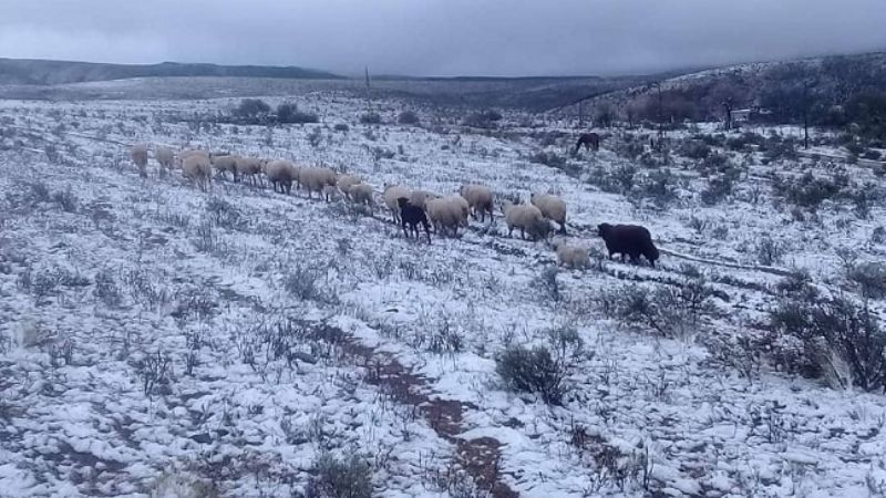 Frío y nevadas obligaron a suspender las clases en Aconquija