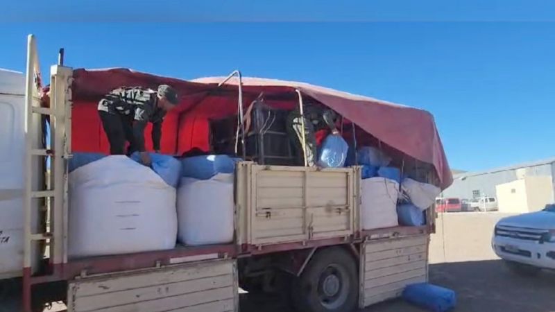 Gendarmería secuestró más de una tonelada de hojas de coca