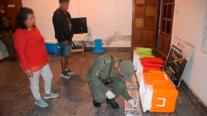 Transportaban más de 25 kilos de cocaína ocultos en conservadoras