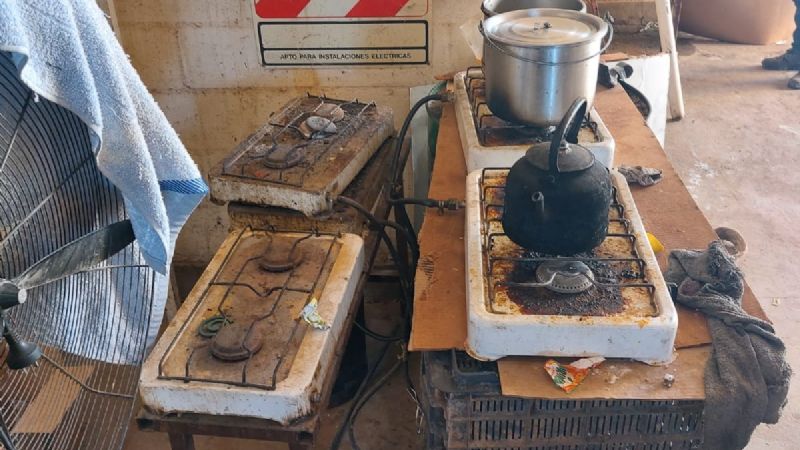 Rescatan a ocho trabajadores en condiciones de presunta explotación laboral en un campo olivícola de Catamarca