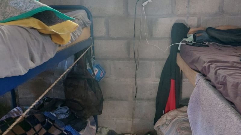 Rescatan a ocho trabajadores en condiciones de presunta explotación laboral en un campo olivícola de Catamarca