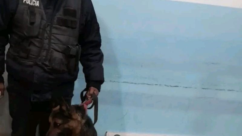 Detienen a una mujer con 4 kilos de marihuana