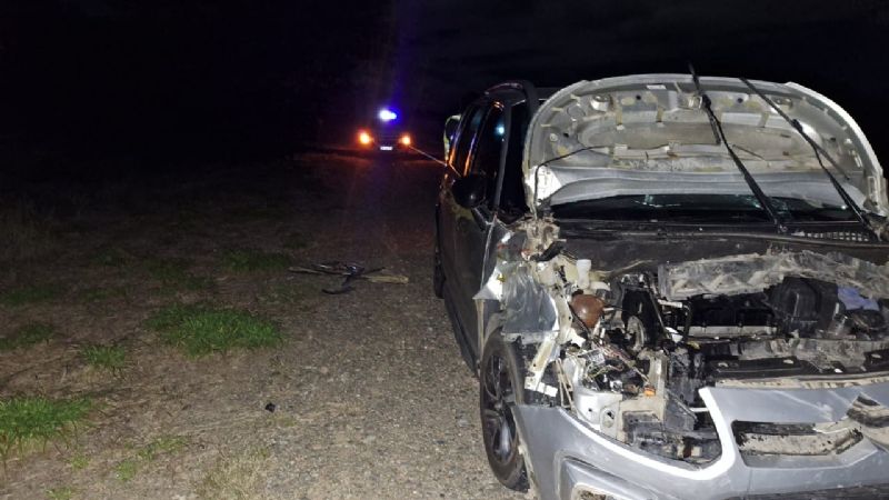 Otro accidente en Ruta 38 por animales sueltos