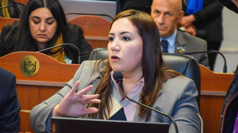 Legisladora radical cuestionó a la ministra de trabajo