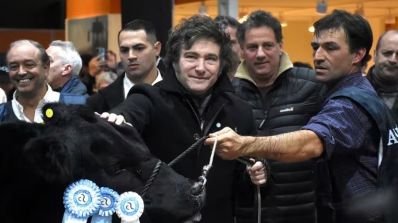 “Vamos a eliminar el Impuesto PAIS y luego las retenciones para que el campo sea libre”