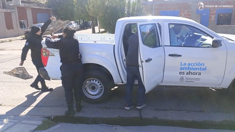 Liberan aves canoras en cautiverio