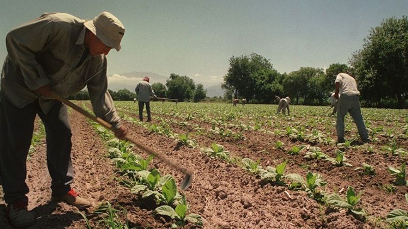 El RENATRE vuelve a aumentar la prestación por desempleo