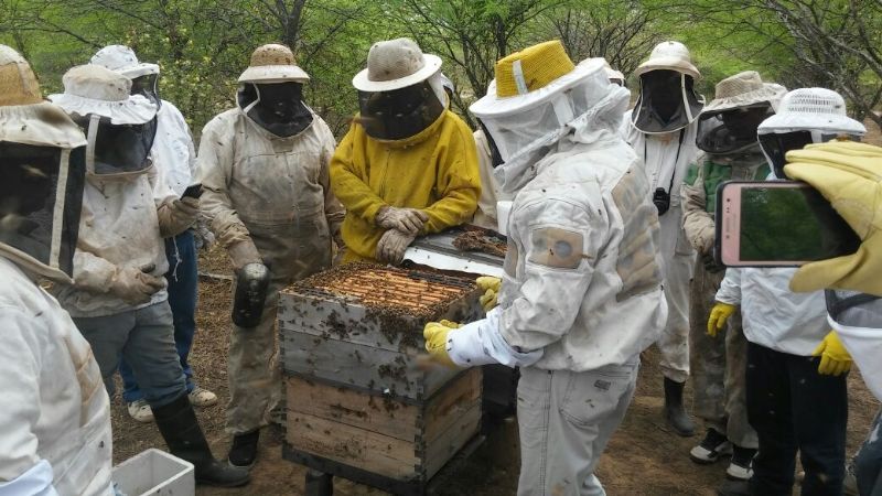 Productores apícolas en situación de emergencia