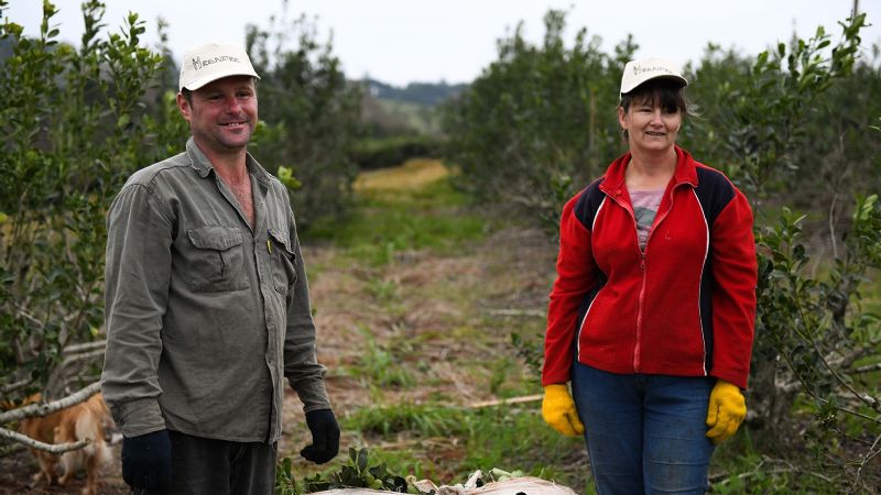 El RENATRE relevó la situación de trabajadores rurales y promocionó derechos del sector en Catamarca