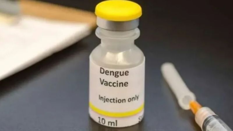 El Gobierno incorporará la vacuna del dengue, pero de forma focalizada