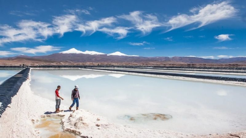 Salta: se licitará el área de litio más grande del país