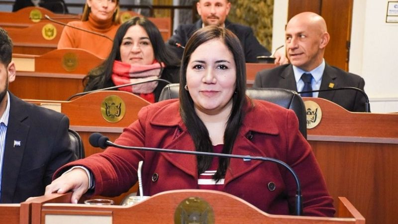 La UCR presentó propuesta de transparencia en el uso de vehículos del Estado