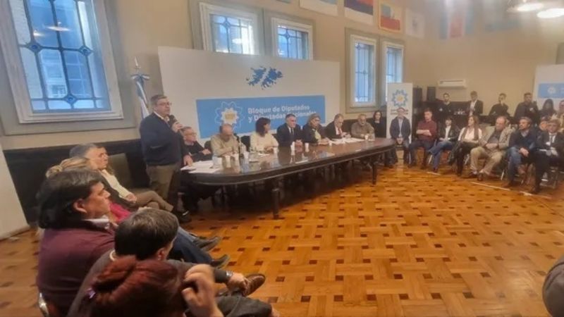 Pidieron la libertad de detenidos en el Congreso