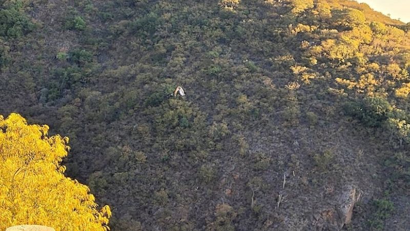Se tiró con parapente y quedó colgando de unos árboles en la cuesta