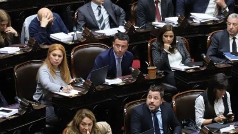 Senadores radicales pidieron a diputados mantener los cambios