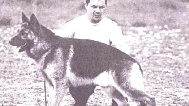 Por qué hoy se celebra el Día del Perro en la Argentina