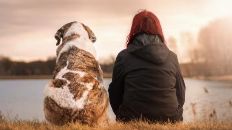 Por qué hoy se celebra el Día del Perro en la Argentina