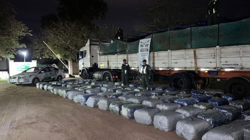 Incautaron más de dos toneladas de hojas de coca valuadas en 113 millones de pesos