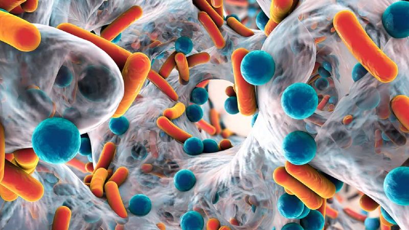 21 de junio: Día Nacional del Uso Responsable de Antimicrobianos