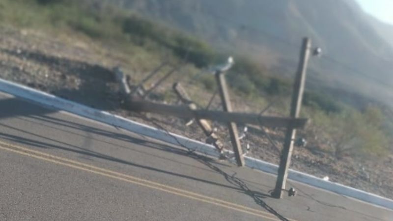Viento zonda causó otra vez daños en el Oeste