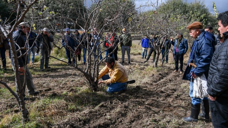 Jornada de actualización técnica sobre el cultivo del membrillero en Andalgalá