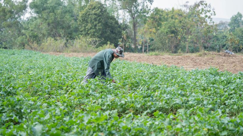 El RENATRE aumentó la prestación por desempleo para los trabajadores rurales