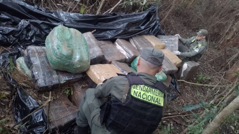 Encuentran más de 600 kilos de marihuana en un monte