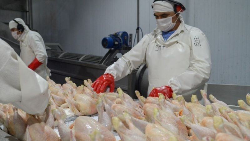 La OMS confirmó la primera muerte humana por un nuevo tipo de gripe aviar en el mundo