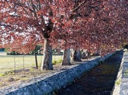 Miércoles otoñal: clima estable, sin lluvias y con una máxima de 25 grados