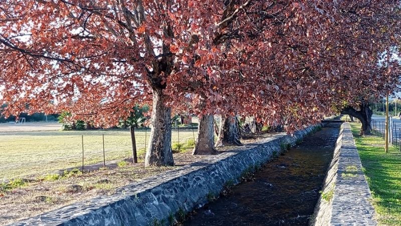 Miércoles otoñal: clima estable, sin lluvias y con una máxima de 25 grados