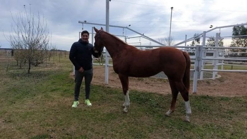 Ex arquero, cría caballos y puso un hotel en la casa de Alfonsín