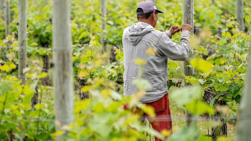 RENATRE capacitó a más de 200 trabajadores rurales beneficiarios de la prestación por desempleo