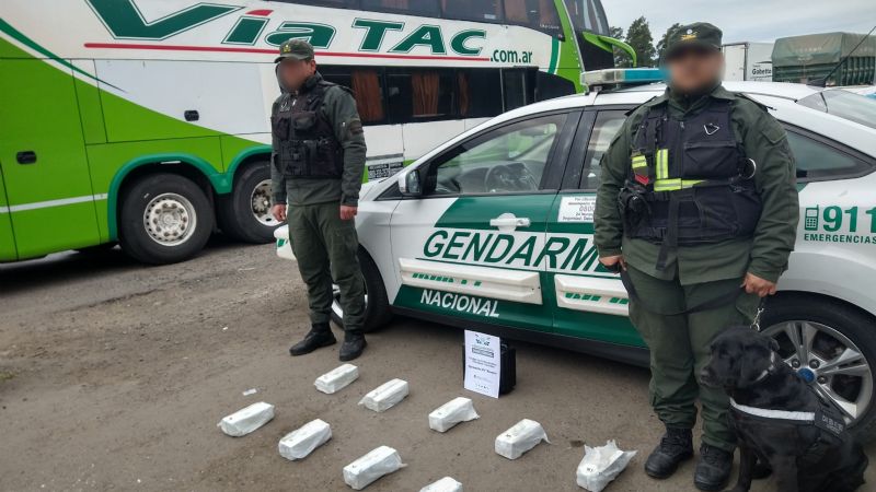 Un colectivo de larga distancia transportaba más de 10 kilos de cocaína