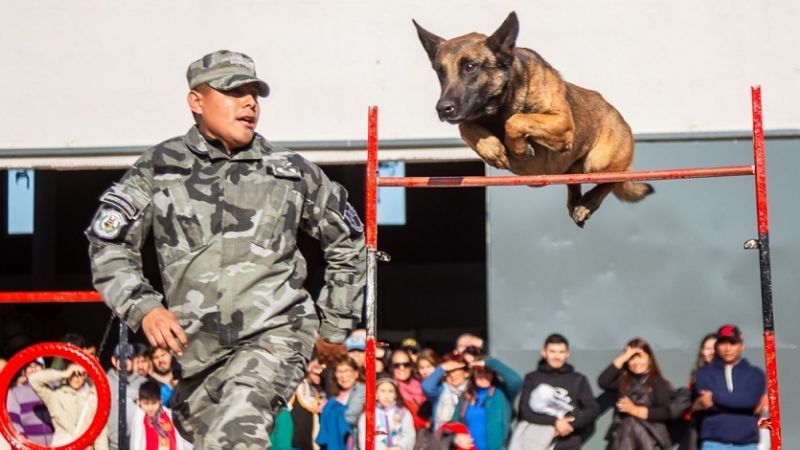Exhibiciones del Ministerio de Seguridad en la Fiesta del Poncho