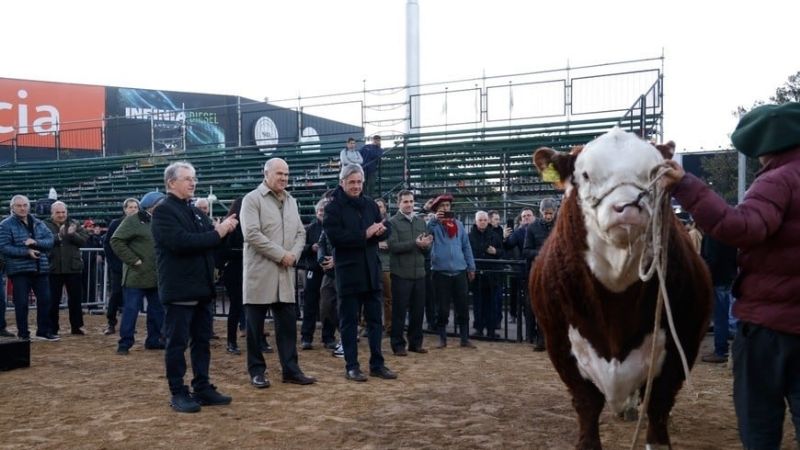 "Místico" fue el primer toro de Palermo 2024
