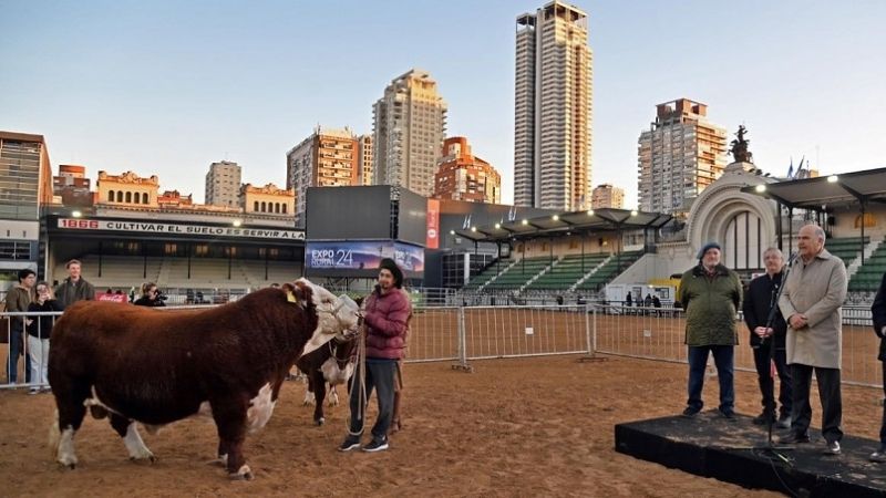 "Místico" fue el primer toro de Palermo 2024