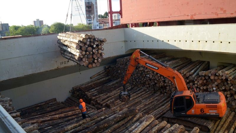 Corrientes reactiva el puerto: llegaron los contenedores que exportarán madera a Europa