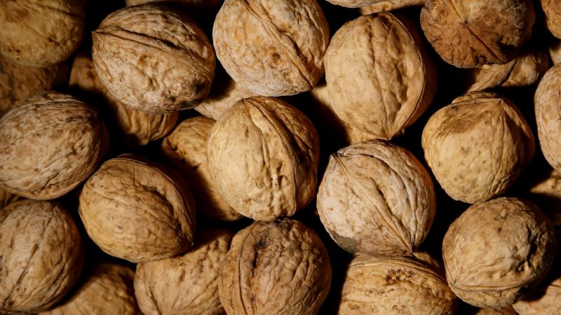 Se presenta la primera capacitación técnica nogalera 2024