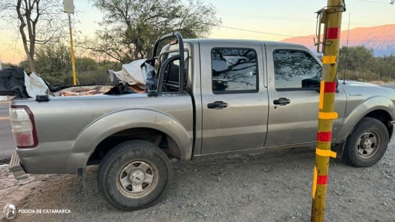 Llevaba 400 kilos carne de manera clandestina