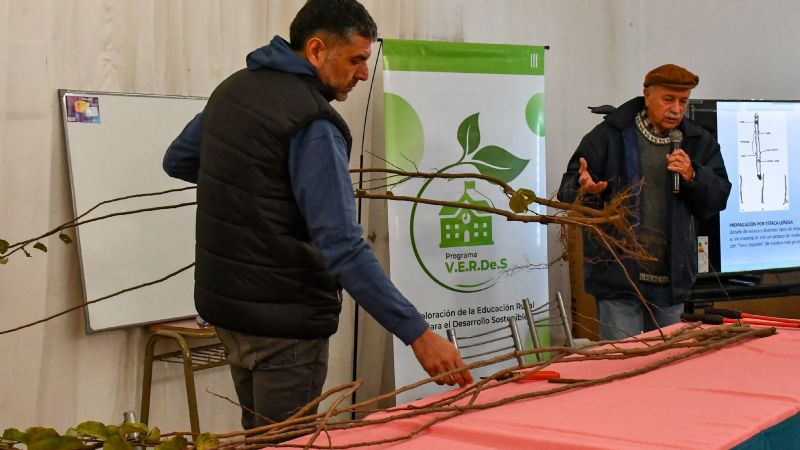 Jornada de actualización técnica sobre el cultivo del membrillero y olivo en Tinogasta