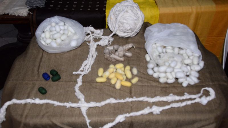 Inició la diplomatura "Tejido en Telar"