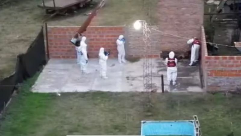 La parcela del cementerio y la situación de Camila, la testigo inesperada