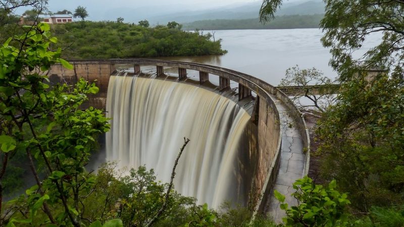 Ganadores del Torneo de Pesca