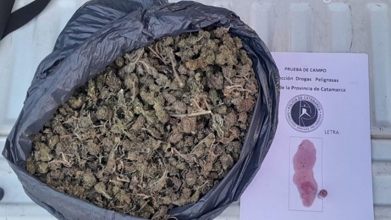 Llevaba en el colectivo casi 800 gramos de marihuana